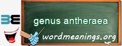 WordMeaning blackboard for genus antheraea